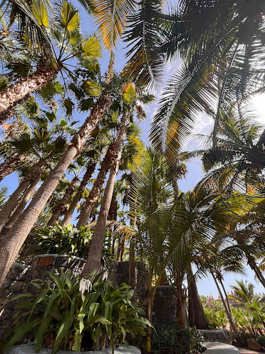 Gartenanlage Hotel Riu Funana