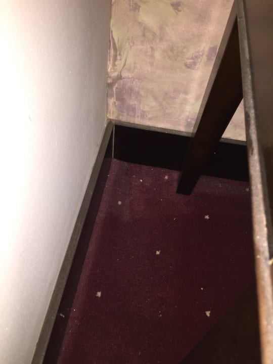 Zimmer Tolip Sports City Resort & Spa