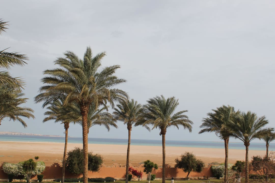 Ausblick aufs Meer Makadi Palace