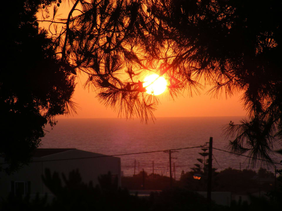 View at the side of our terrace TUI SUNEO Chrissi Amoudia