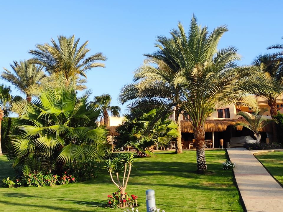 Strand Steigenberger Coraya Beach - Adults only