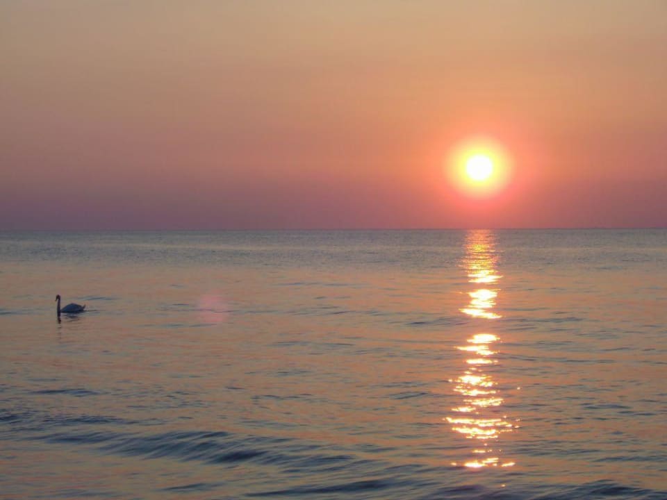 Sonnenuntergang an der Ostsee Ferienresort Seepferdchen