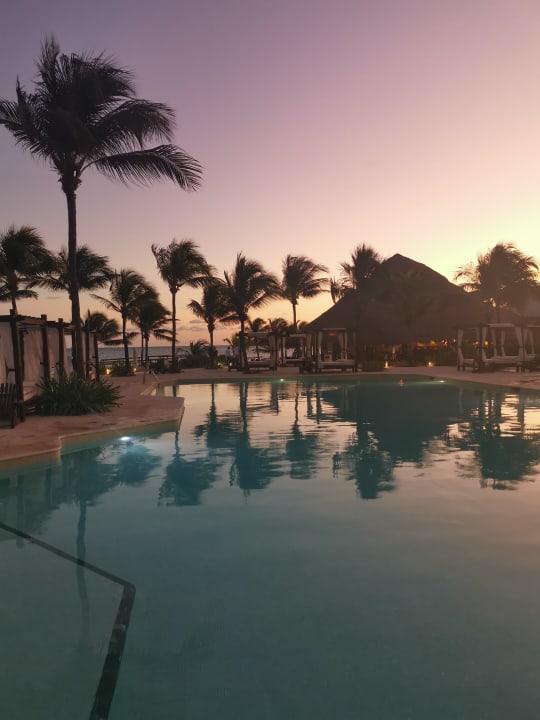 Pool Akumal Bay Beach & Wellness Resort