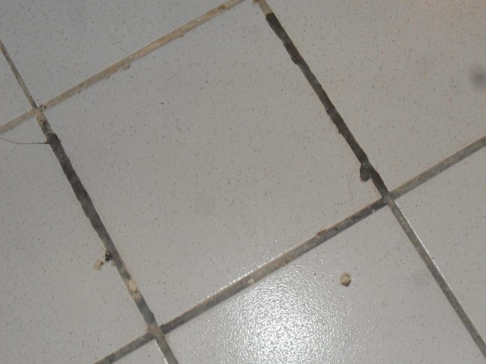 Boden Monarque Club Rivage