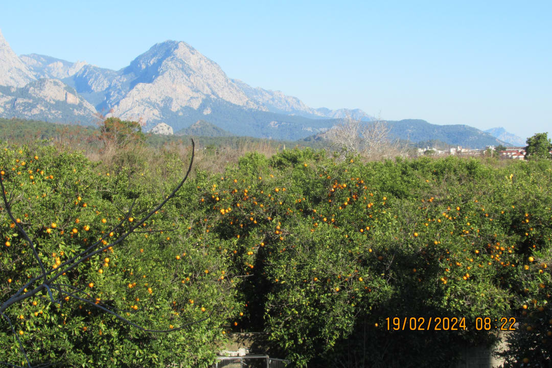 Ausblick Crystal De Luxe Comfort Collection