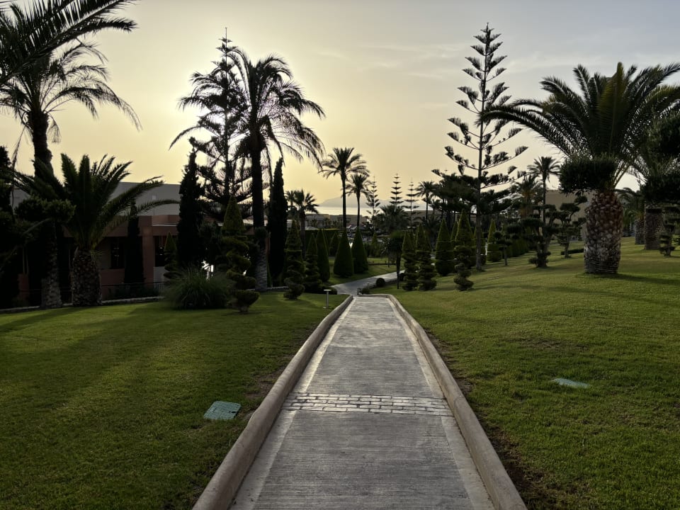 Gartenanlage Hotel Horizon Beach Resort