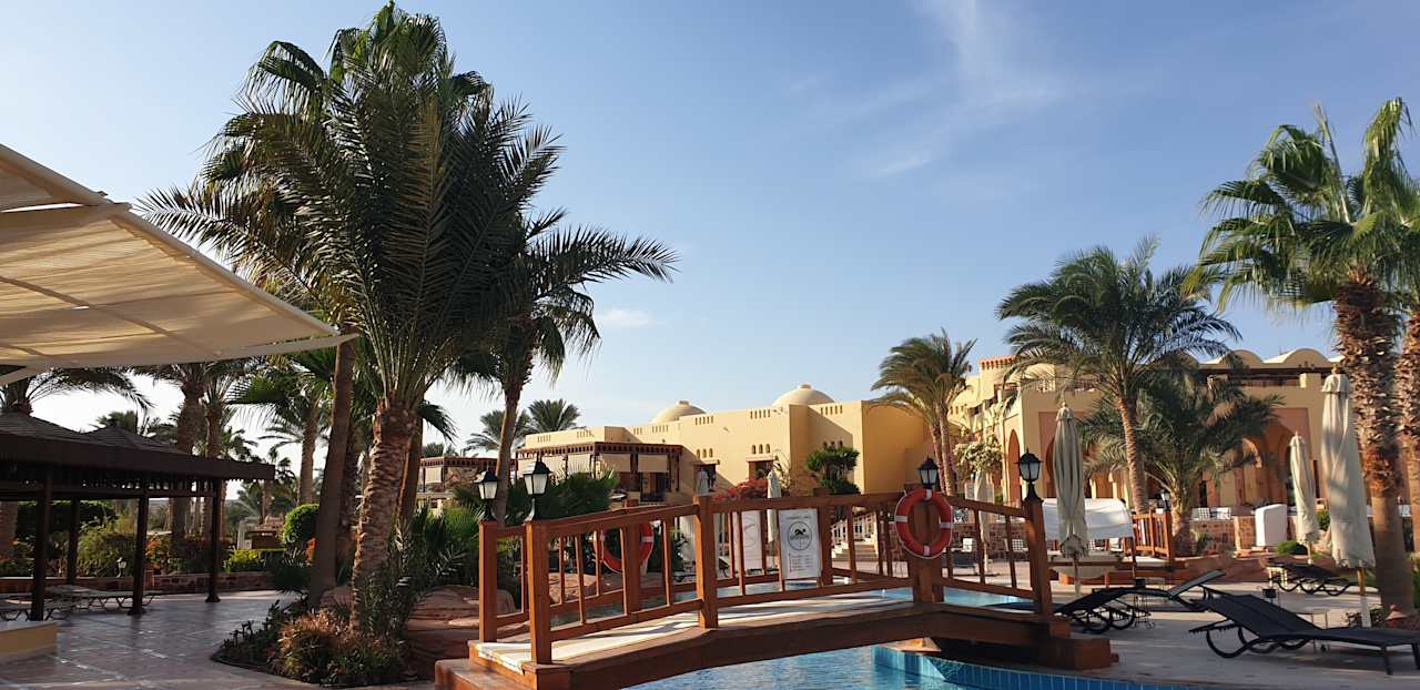 Pool Steigenberger Coraya Beach - Adults only