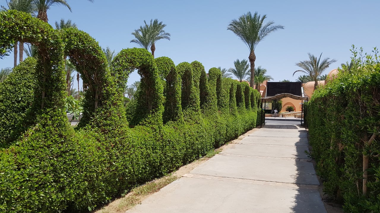 Gartenanlage Jaz Makadi Oasis Resort