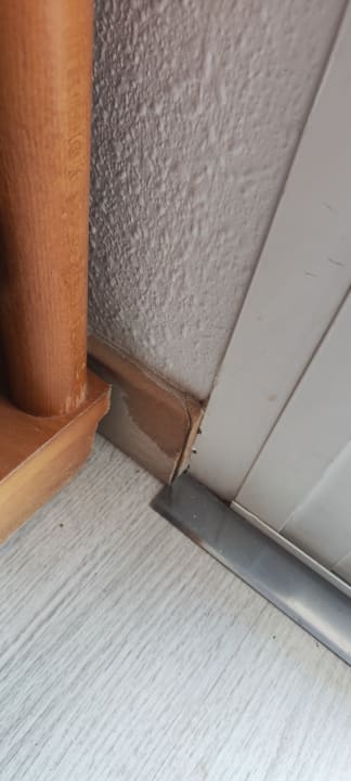 Zimmer Club Simó Hotel by Senator