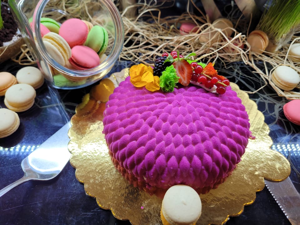 Gastro Hotel Delphin Diva