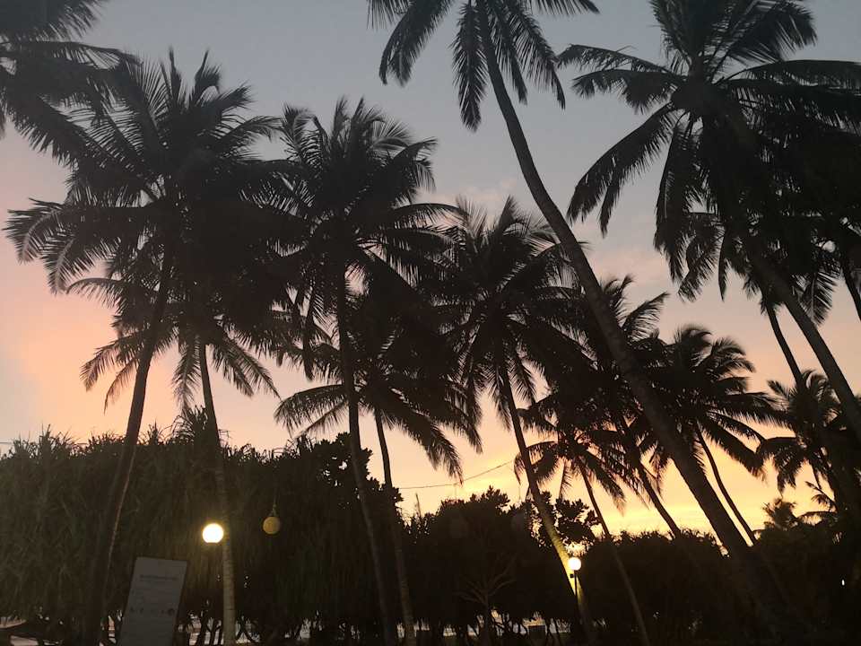 Gartenanlage Thaala Bentota