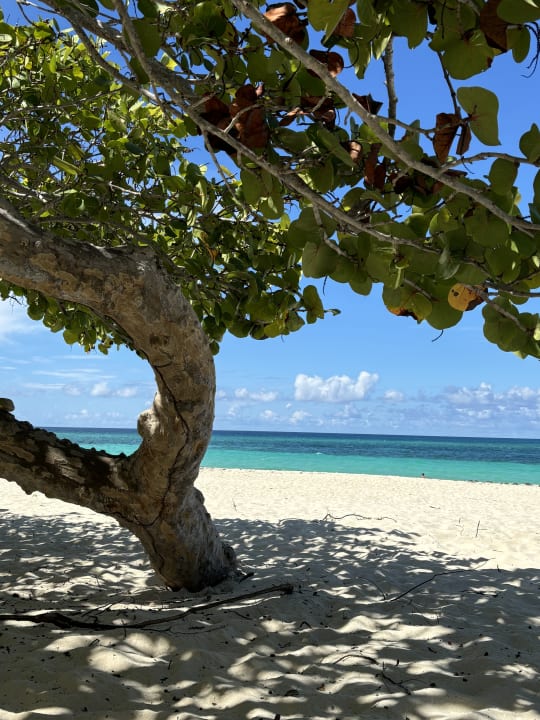 Strand Sol Rio De Luna y Mares