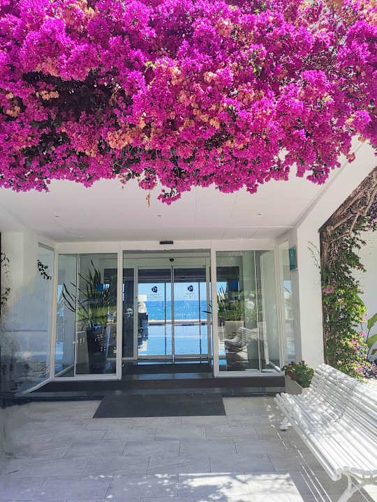 Lobby Grupotel Aguait Resort & Spa - Adults only