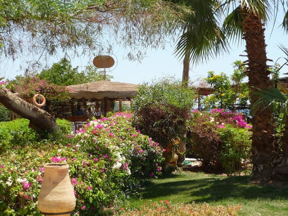 Schön bunt,echt toll Fort Arabesque Resort, Spa & Villas