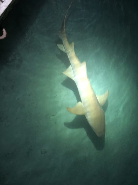 Strand Kuredu Island Resort & Spa