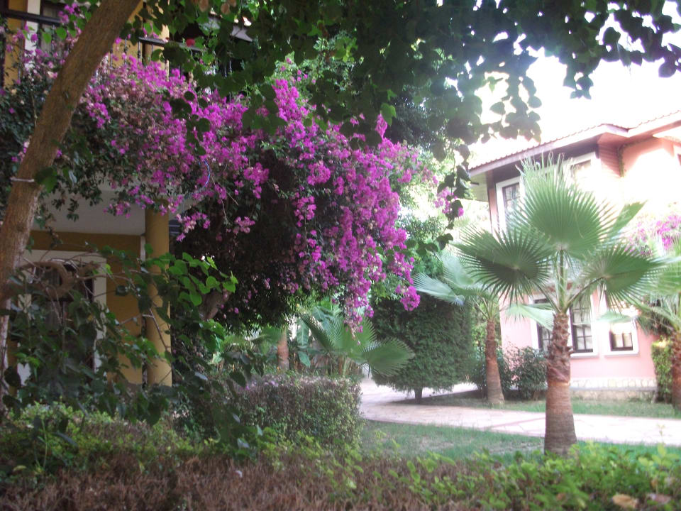 Gartenanlage Club Dizalya