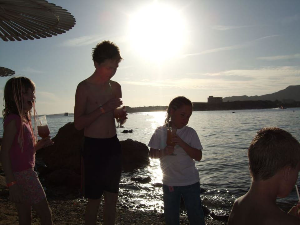 Kleine Cocktail-Party am Strand Albatros Sharm Resort