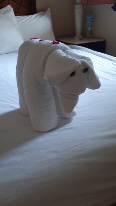 Zimmer Iberotel Makadi Beach