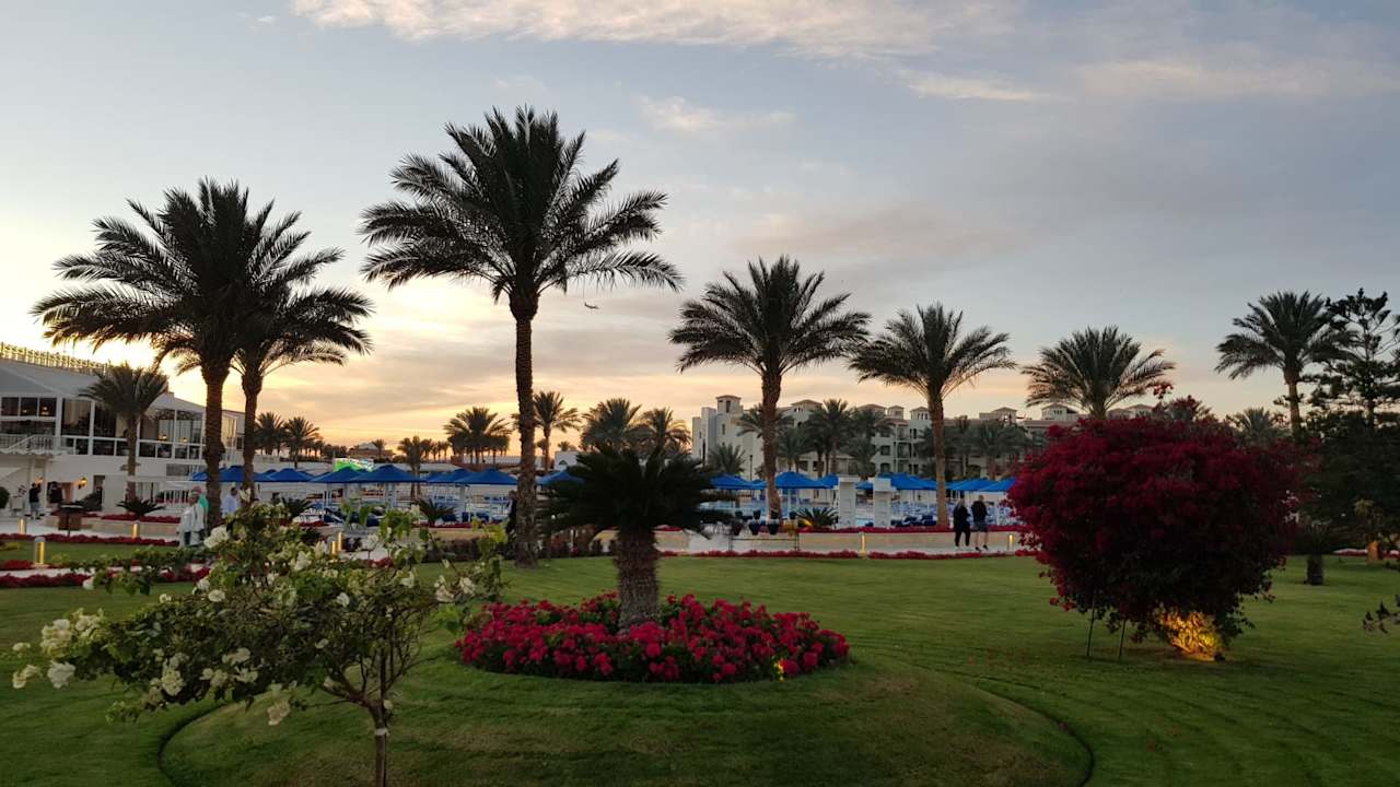 Garten Pickalbatros Dana Beach Resort - Hurghada