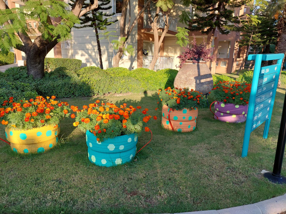 Gartenanlage Kamelya Aishen Club
