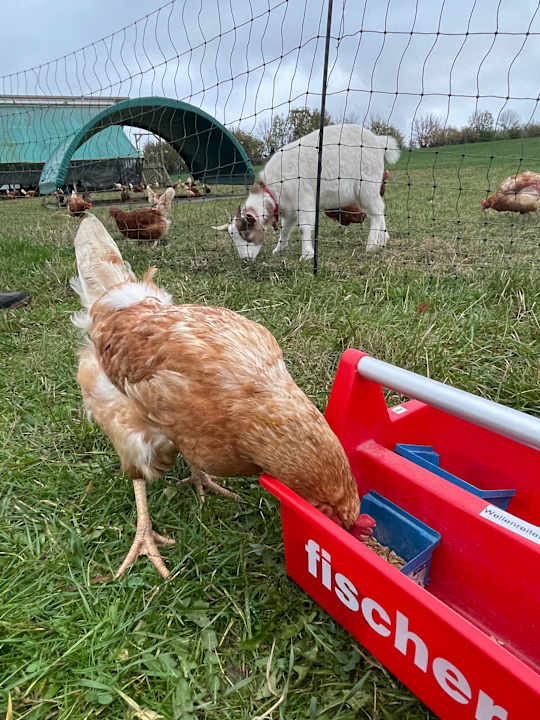 Sport & Freizeit Bauer Martin | Ostsee Ferienhof Bendfeldt bei Grömitz