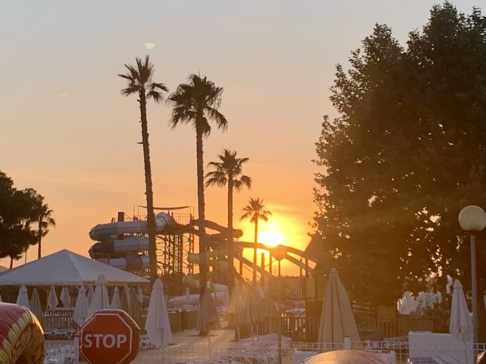 Sport & Freizeit Globales Bouganvilla