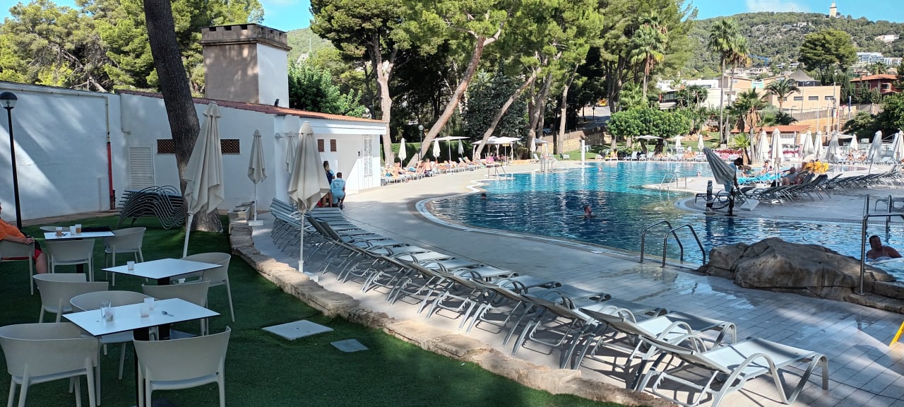 Pool BQ Belvedere Hotel