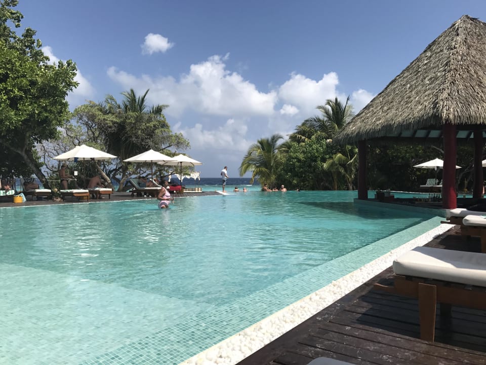 Pool Adaaran Select Meedhupparu Island Resort - Premium All Inclusive