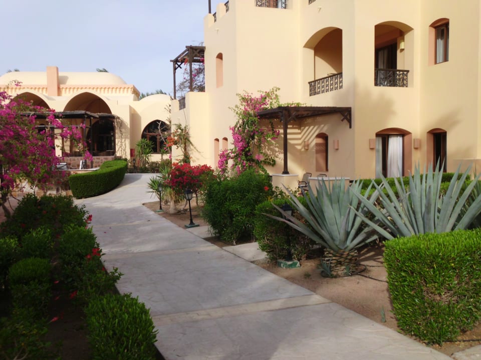 Sonstiges Steigenberger Coraya Beach - Adults only