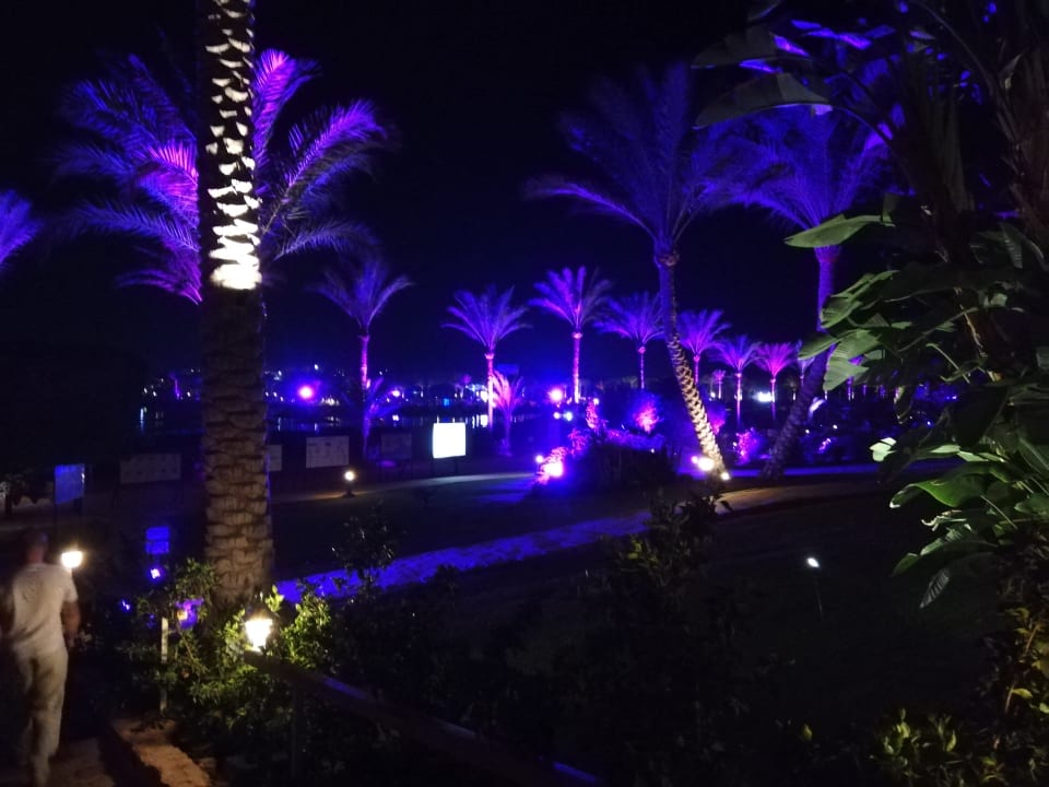 Ausblick Steigenberger Coraya Beach - Adults only