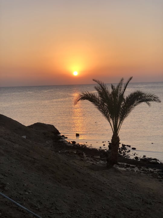 Ausblick Brayka Bay Resort