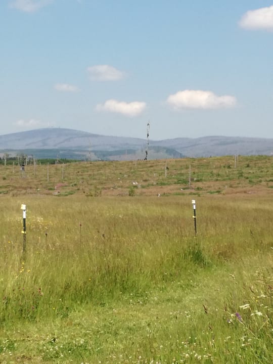 Ausblick Tannenpark