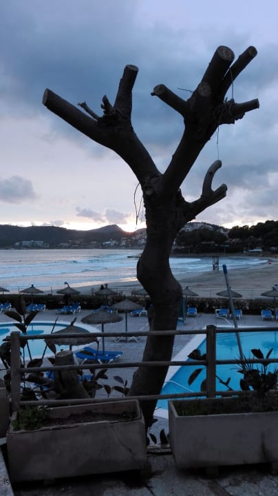 Ausblick Hotel Vibra Beverly Playa