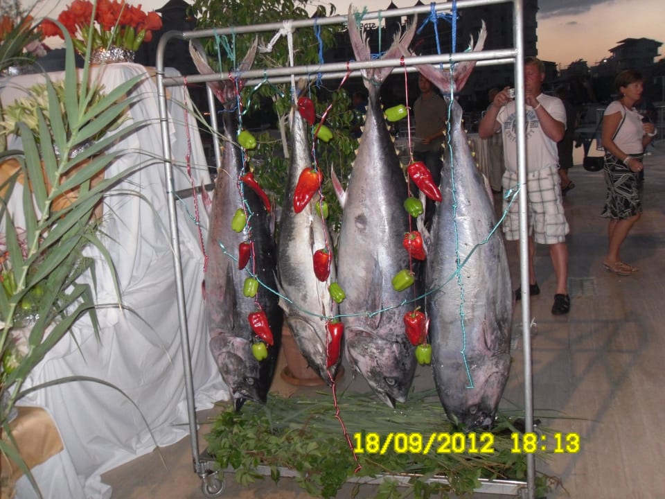 Große Fische Serenis Hotel