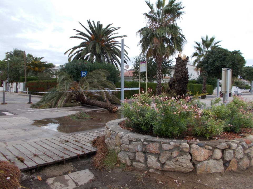 Sonstiges Estival ElDorado