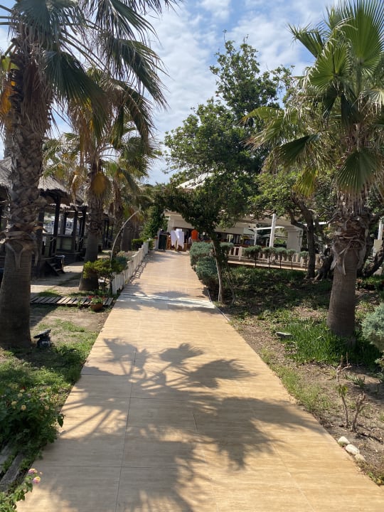 Gartenanlage Latanya Park Resort