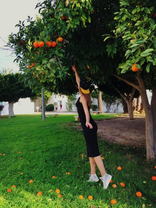 Мандарины-апельсины El Mouradi Club Kantaoui