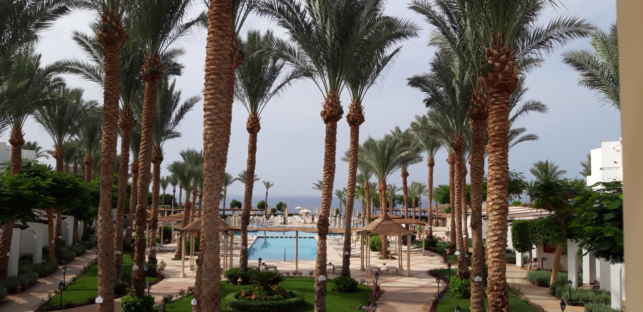 Ausblick JAZ Fanara Resort