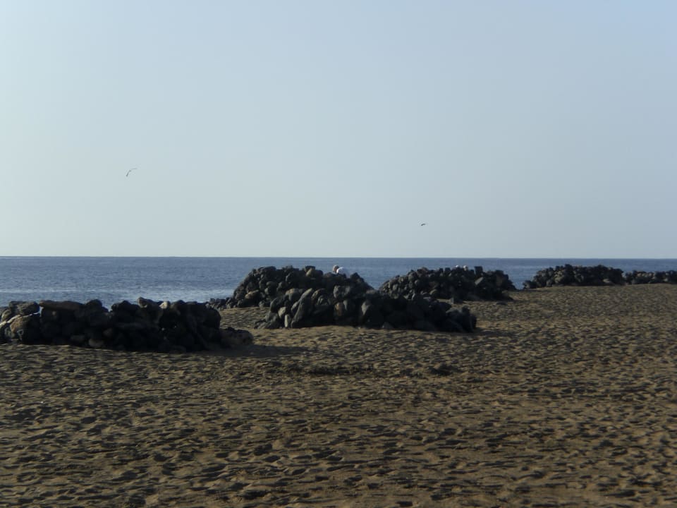 Windschutz Hotel Las Costas