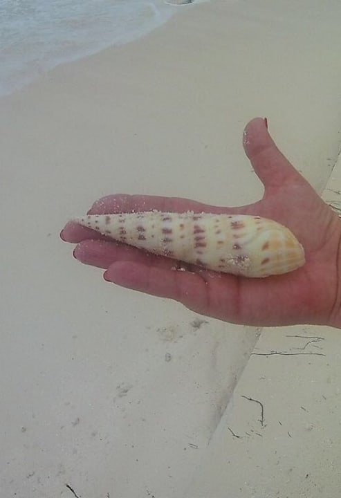 Strand Summer Island Maldives