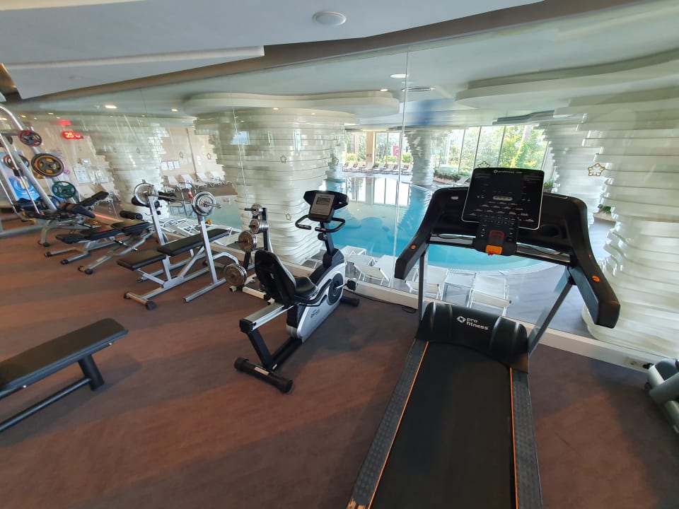 Sport & Freizeit Side Star Elegance