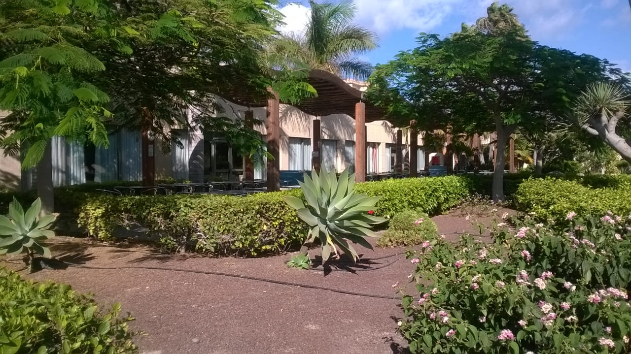 Gartenanlage SBH Hotel Taro Beach