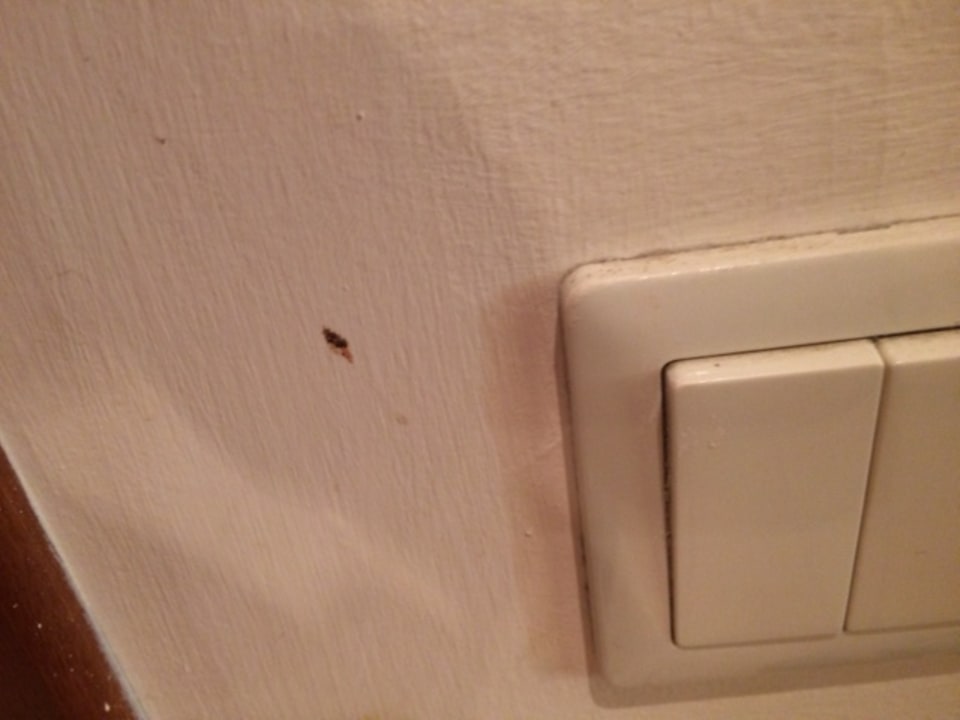 Zimmer Grecotel LUXME Kos