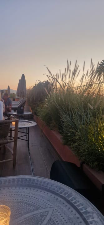 Ausblick The Syntopia