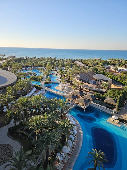 Pool Royal Wings Hotel