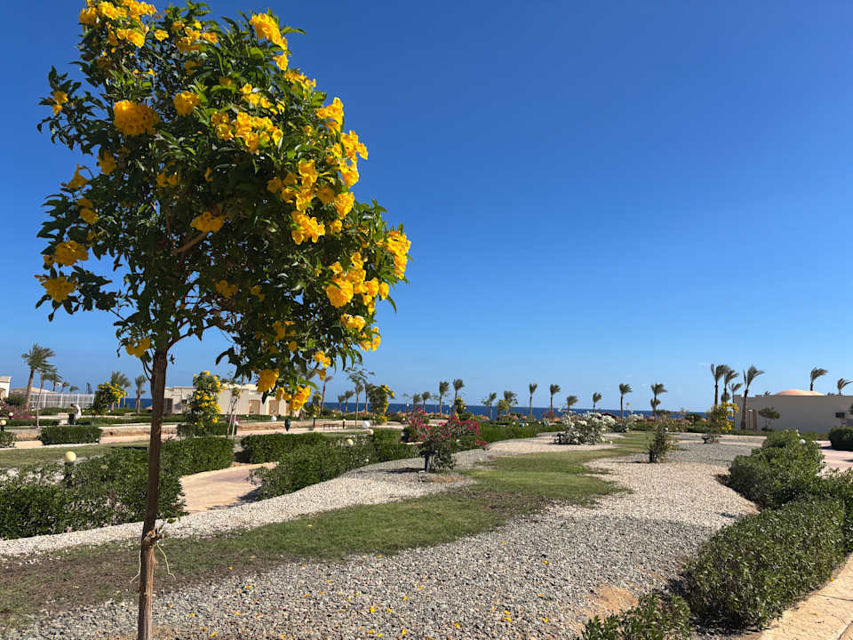 Ausblick Amarina Queen Resort Marsa Alam