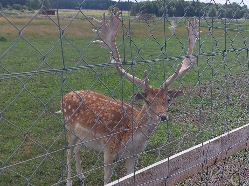 Gartenanlage Ferienwohnungen Ferienpark Weissenhäuser Strand