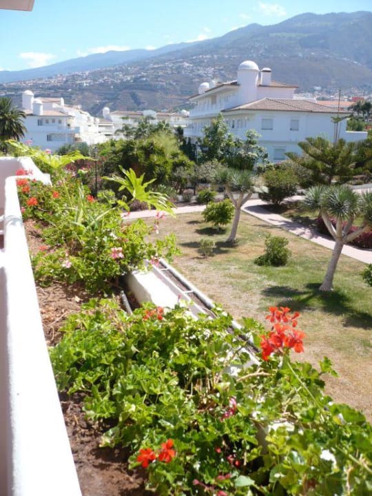 Orotava-Tal BLUESEA Complejo Puerto Resort (Canarife y Bonanza Palace))