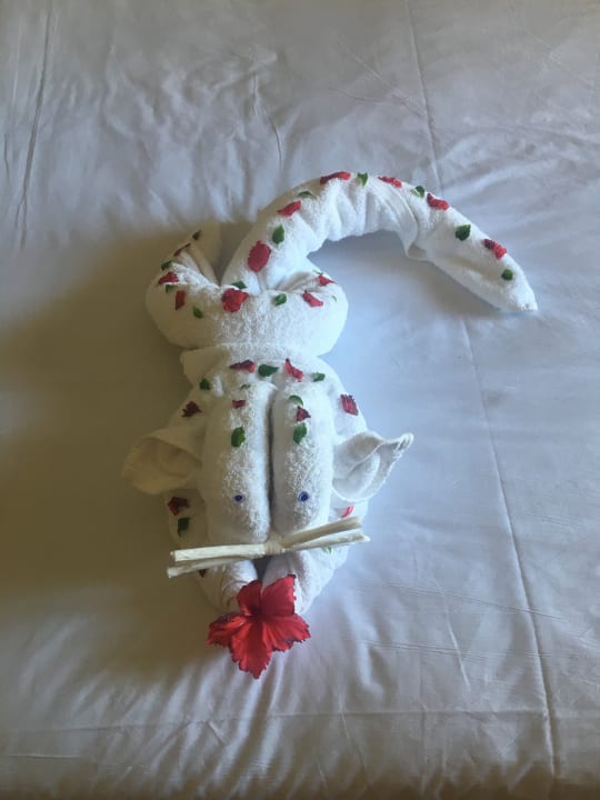 Zimmer Stella Beach Resort & Spa Makadi Bay