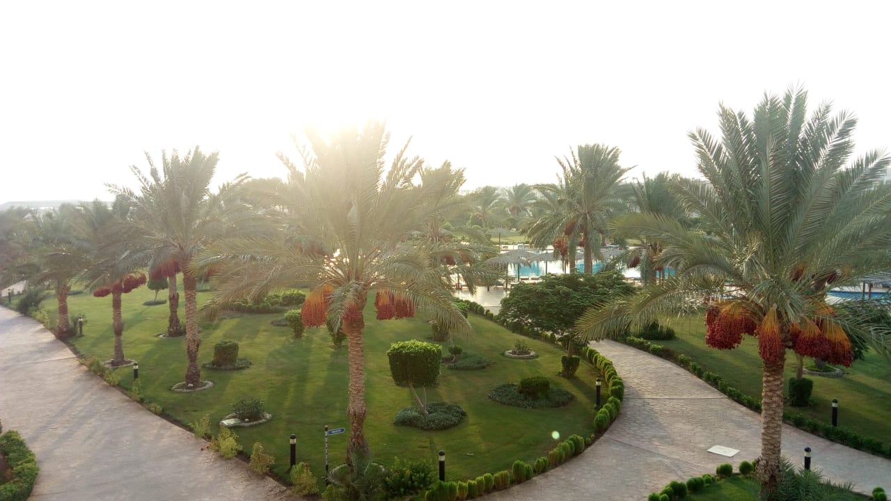 Gartenanlage Hurghada Long Beach Resort